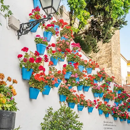 Appartement Oceanfront Retreat: Your Serene Oasis By The Sea! *