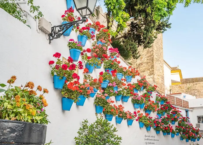 Apartament Oceanfront Retreat: Your Serene Oasis By The Sea! *